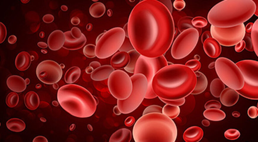 HEMATOLOGY AND STEM CELL TRANSPLANTATION